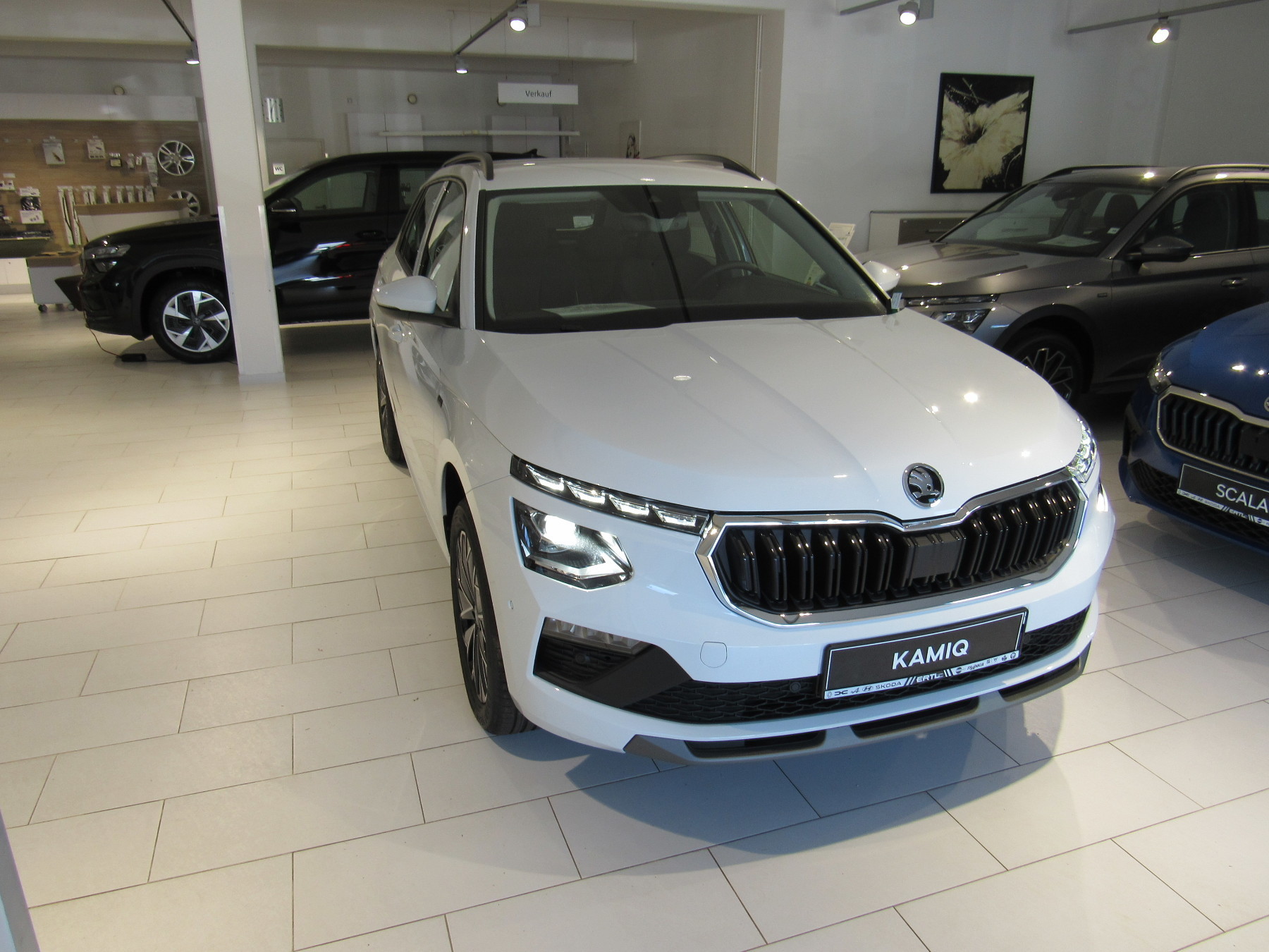 Bild 4 - Kamiq Tour 1.0 TSI