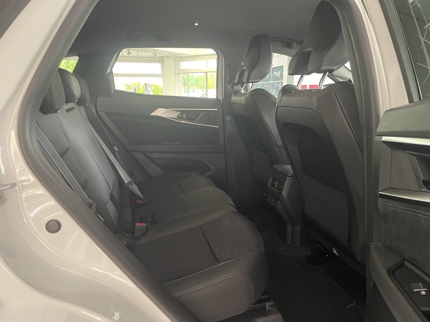 Bild 15 - Austral Esprit Alpine Full Hybrid E-Tech 200