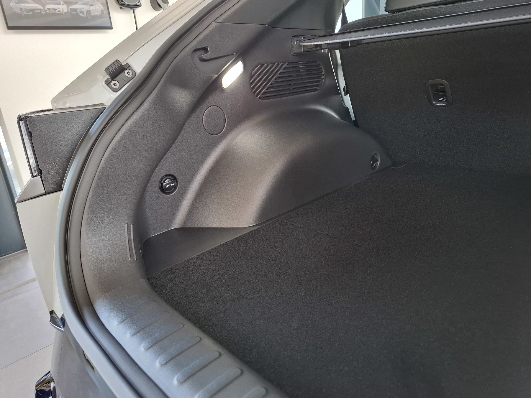 Bild 12 - Austral Evolution Mild Hybrid 160 Automatik