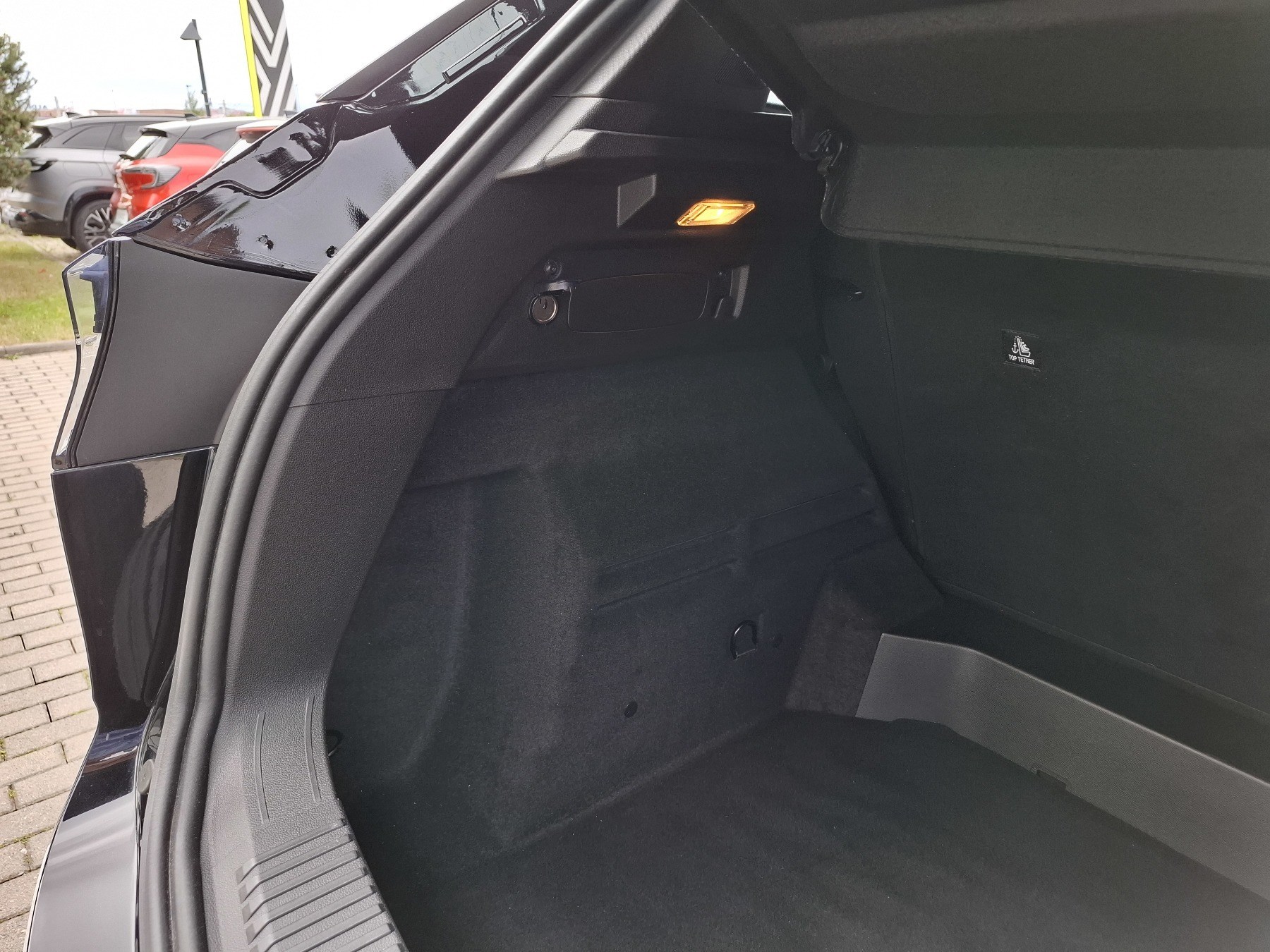 Bild 12 - Austral Evolution Mild Hybrid 160 Automatik