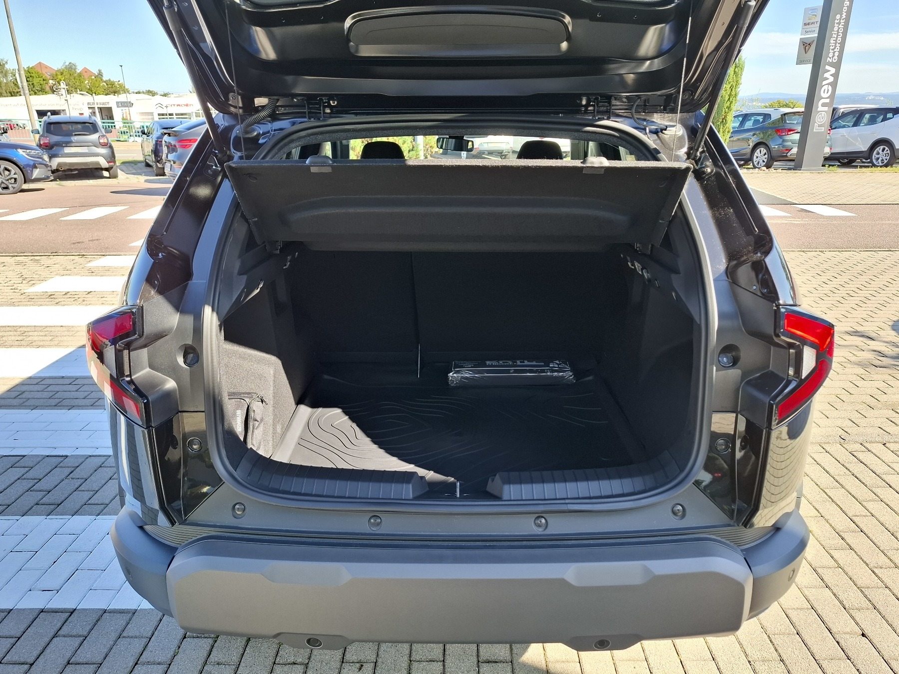 Bild 2 - Duster Extreme +  HYBRID 140