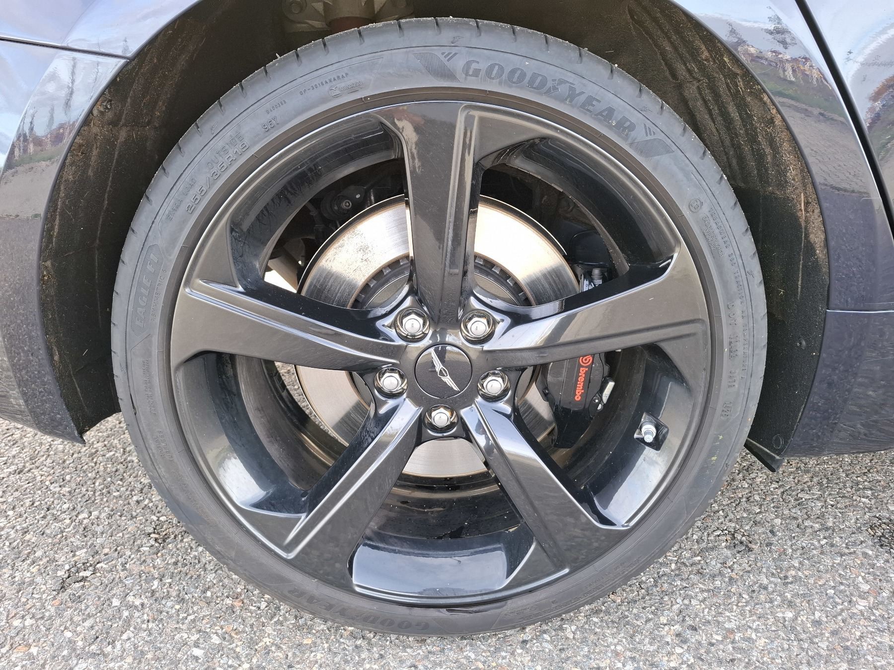 Bild 42 - G70 GX8 Shooting Brake 2.0T AWD Sport