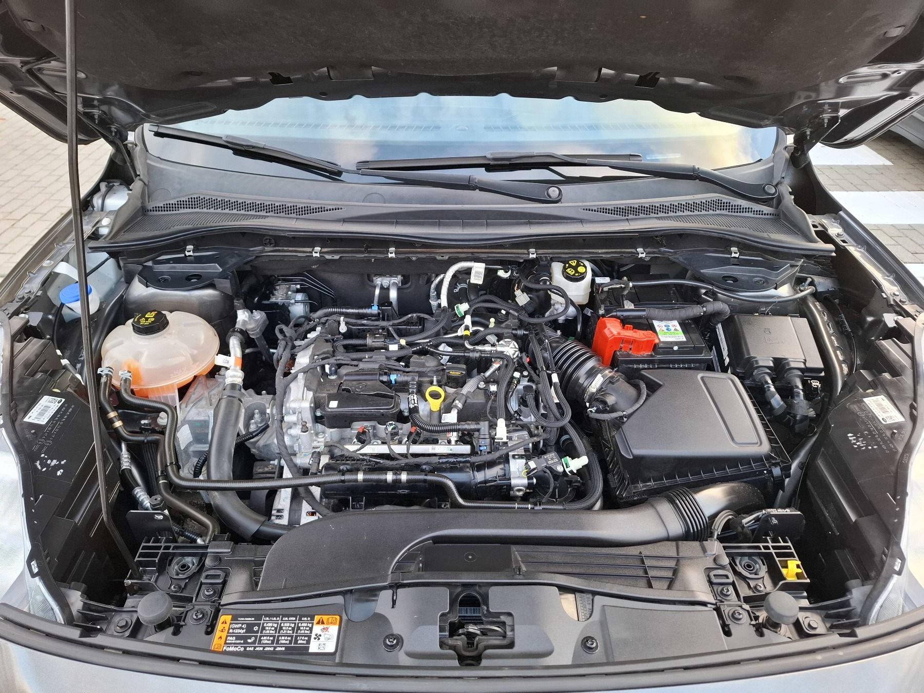 Bild 37 - Kuga 1.5 Eco Boost ST-Line X