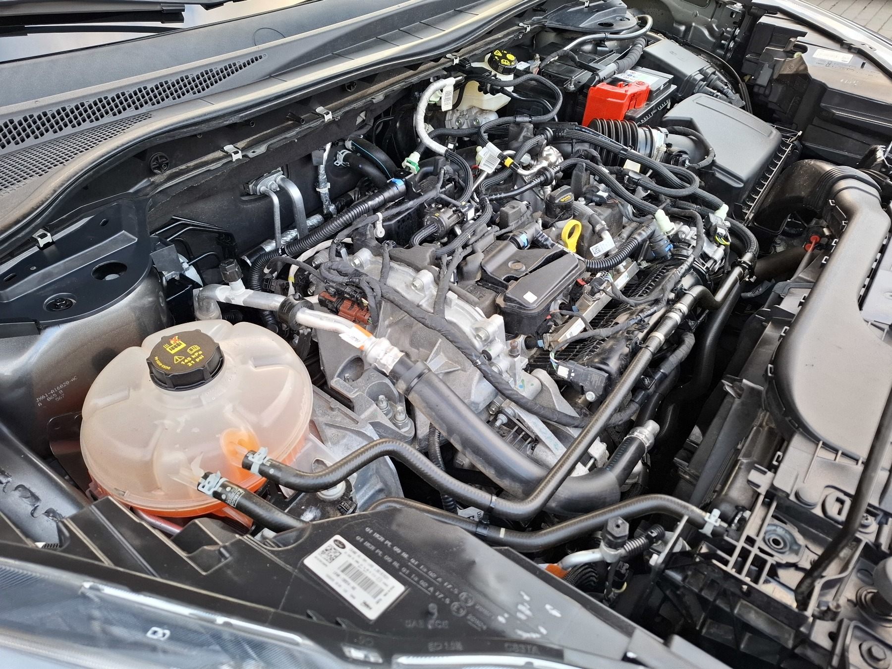 Bild 38 - Kuga 1.5 Eco Boost ST-Line X