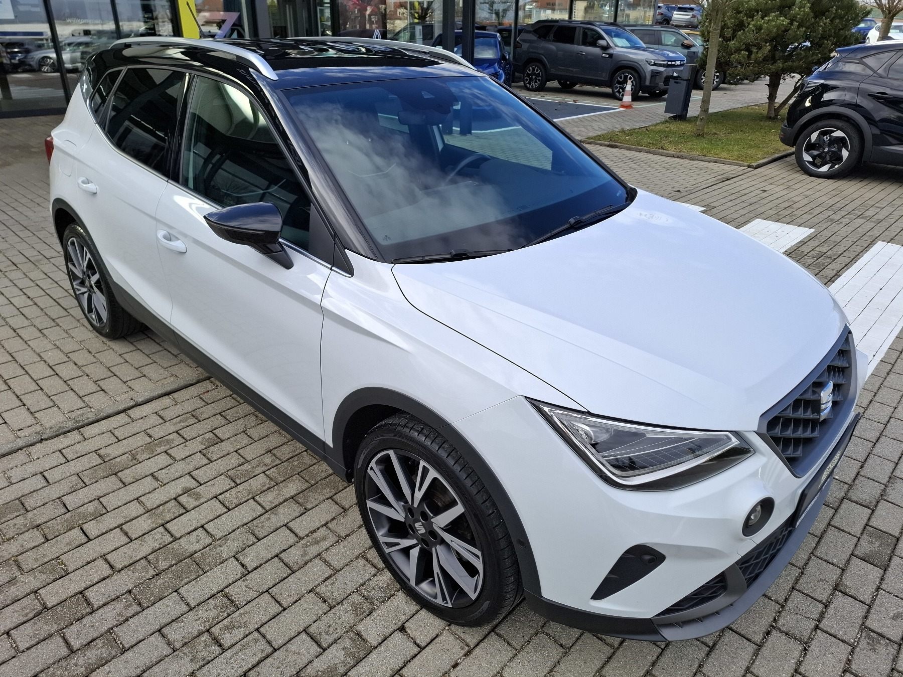 Bild 34 - Sandero Stepway TCe 110PS Extreme