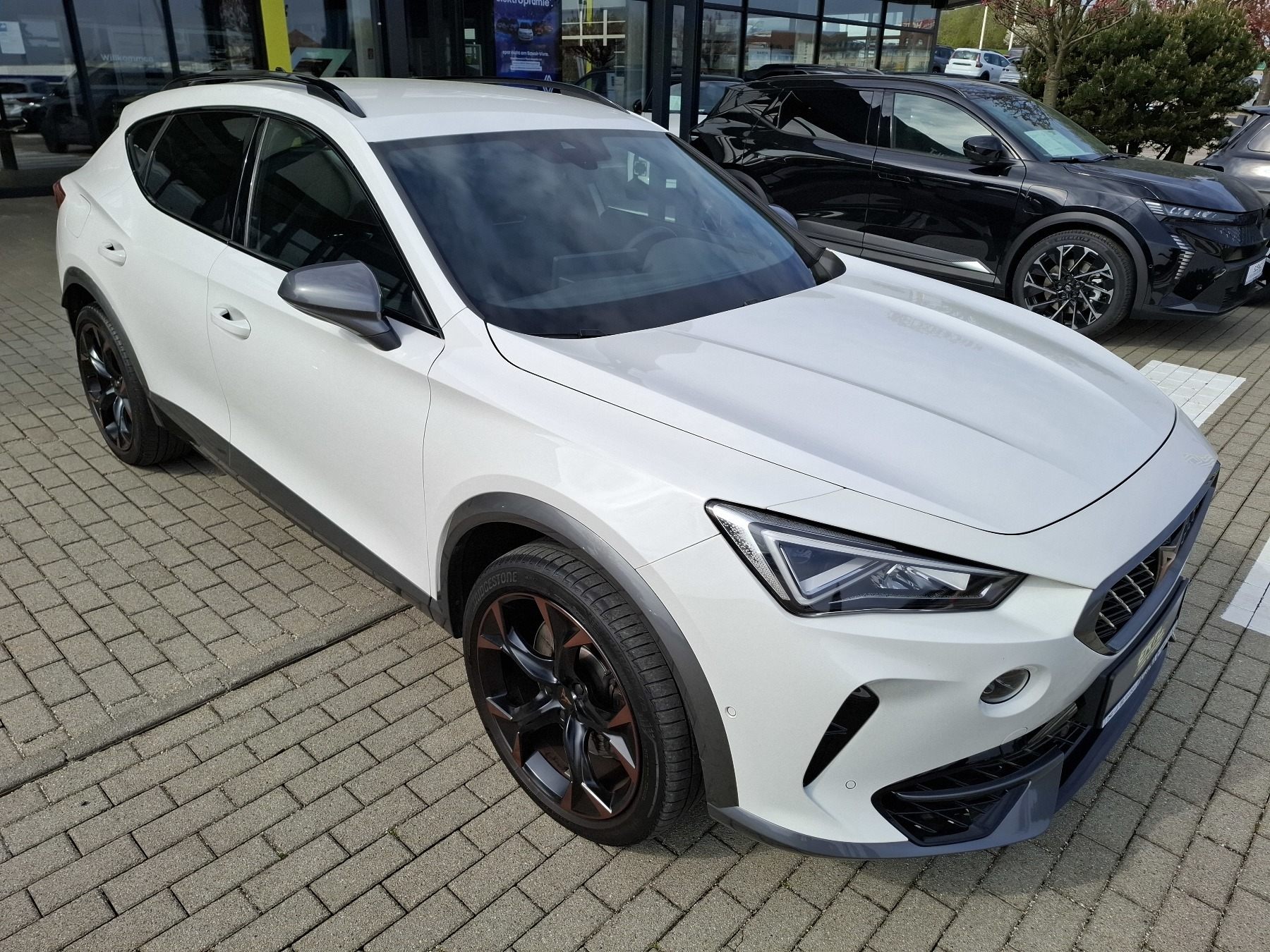 Bild 4 - Austral Mild Hybrid 150 Aut. Techno