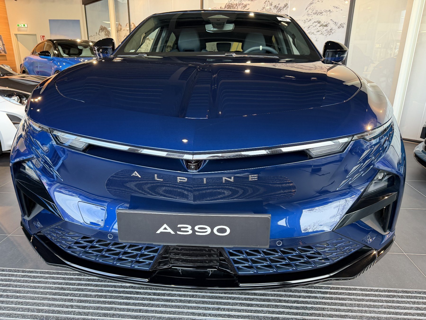 Bild 4 - A390 GT