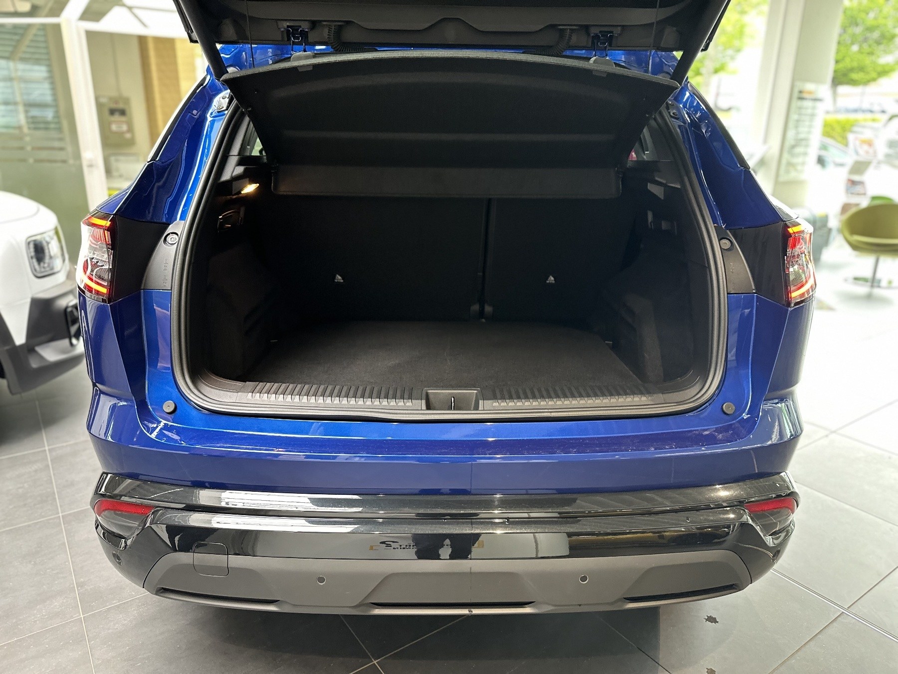 Bild 24 - Austral Techno Mild Hybrid 160