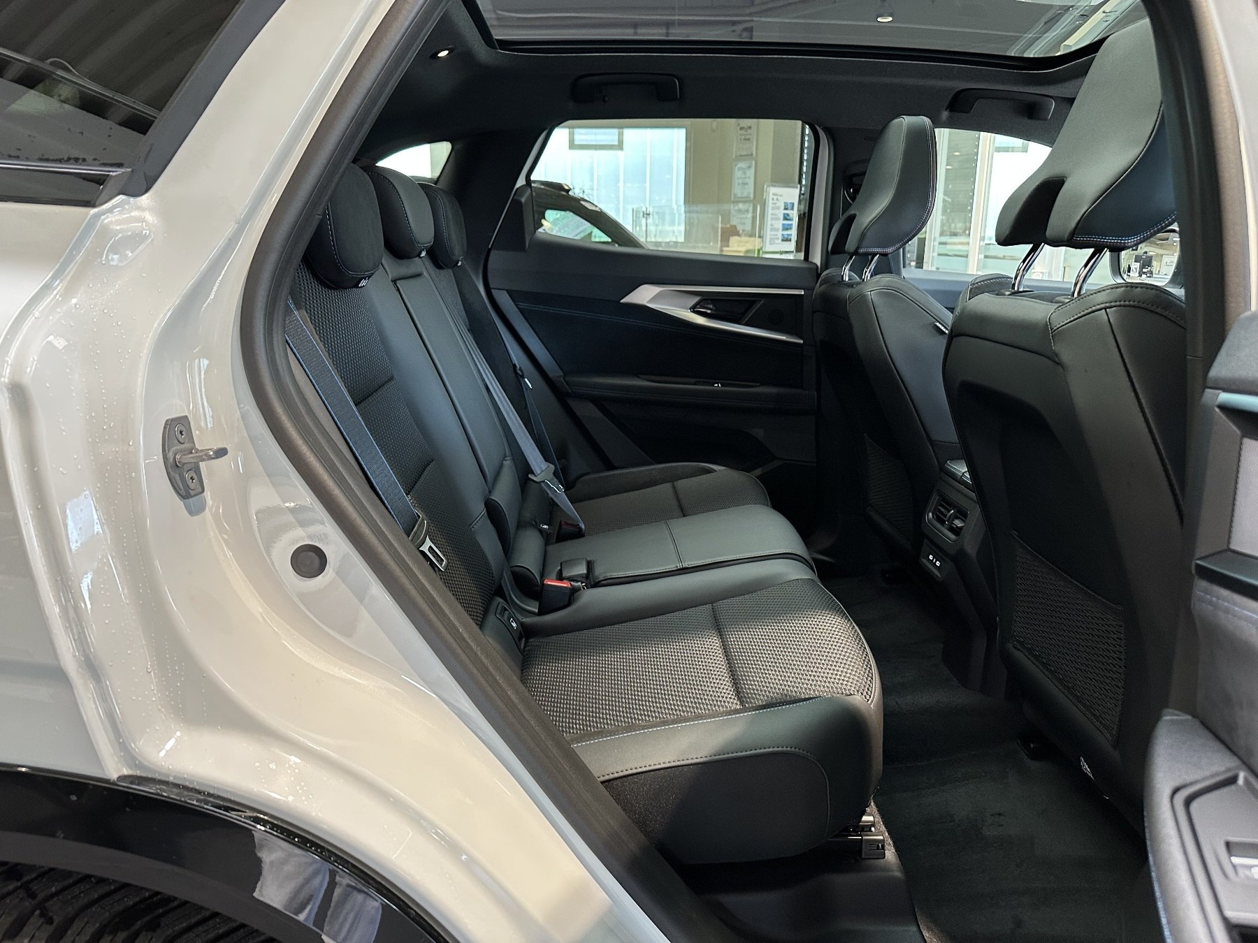 Bild 16 - Austral Esprit Alpine Full Hybrid 200PS