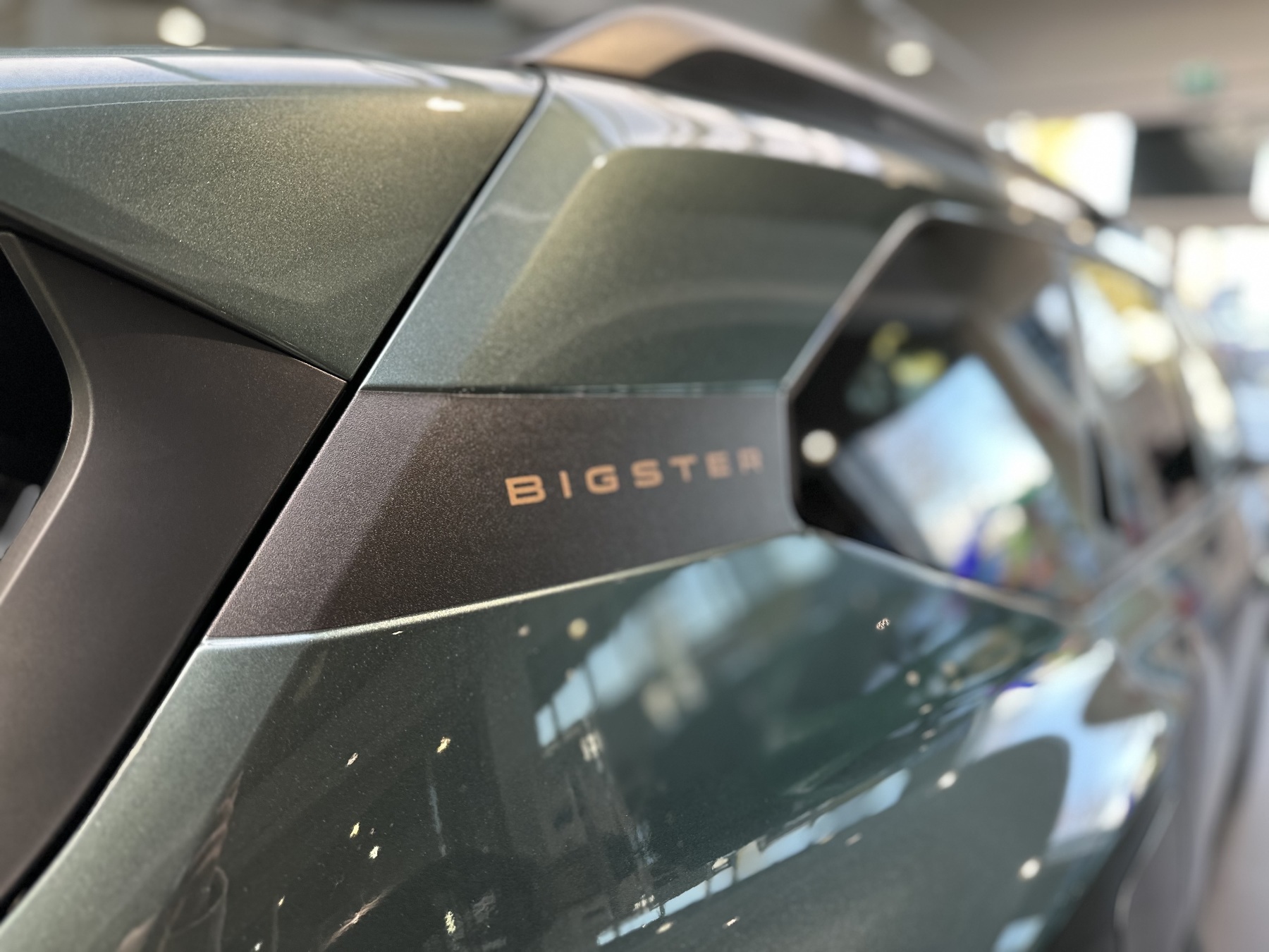 Bild 11 - Bigster TCe 130 4x4 Extreme