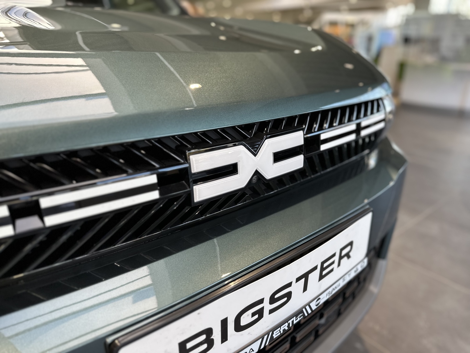 Bild 7 - Bigster TCe 130 4x4 Extreme