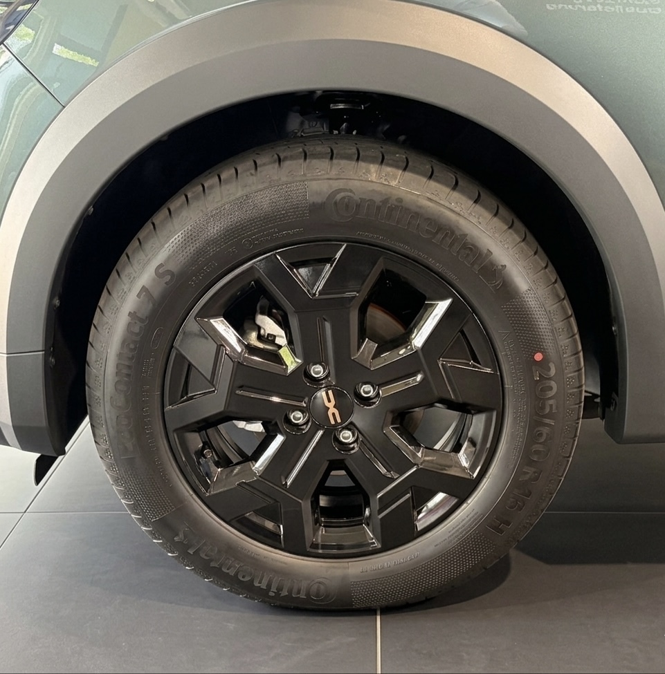 Bild 50 - Jogger Extreme TCe 110 PS