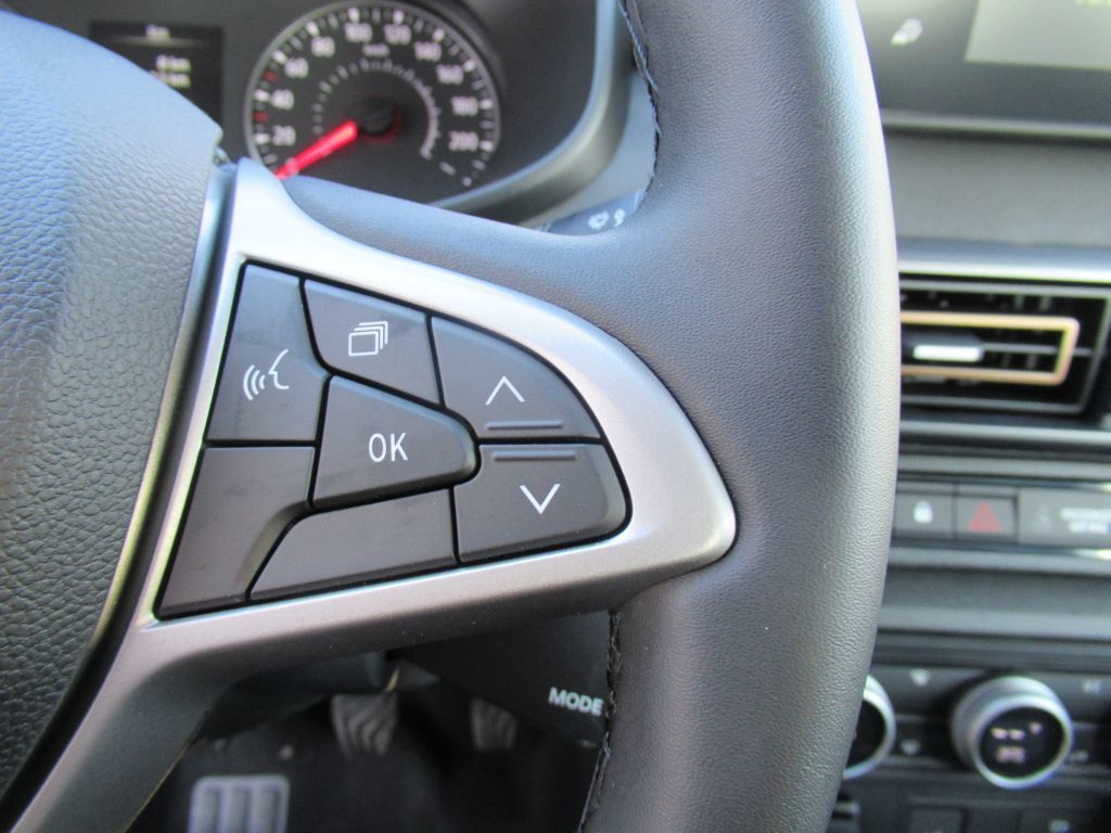 Bild 16 - Sandero Stepway Extreme +  ECO-G 100