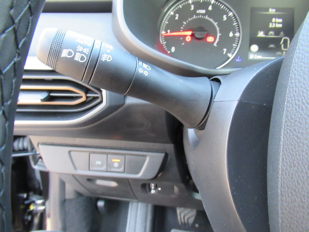 Bild 19 - Sandero Stepway Extreme +  ECO-G 100