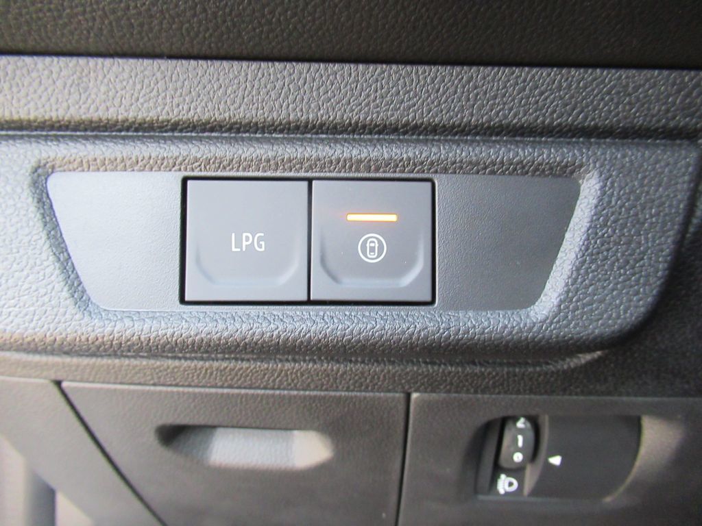 Bild 20 - Sandero Stepway Extreme +  ECO-G 100