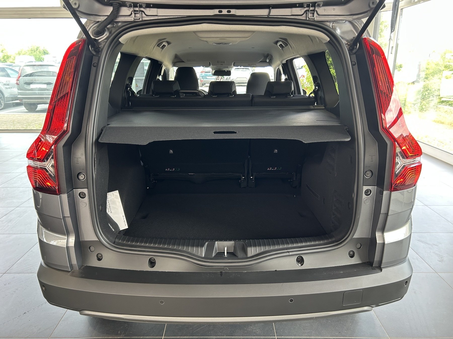 Bild 8 - Jogger Extreme TCe 110