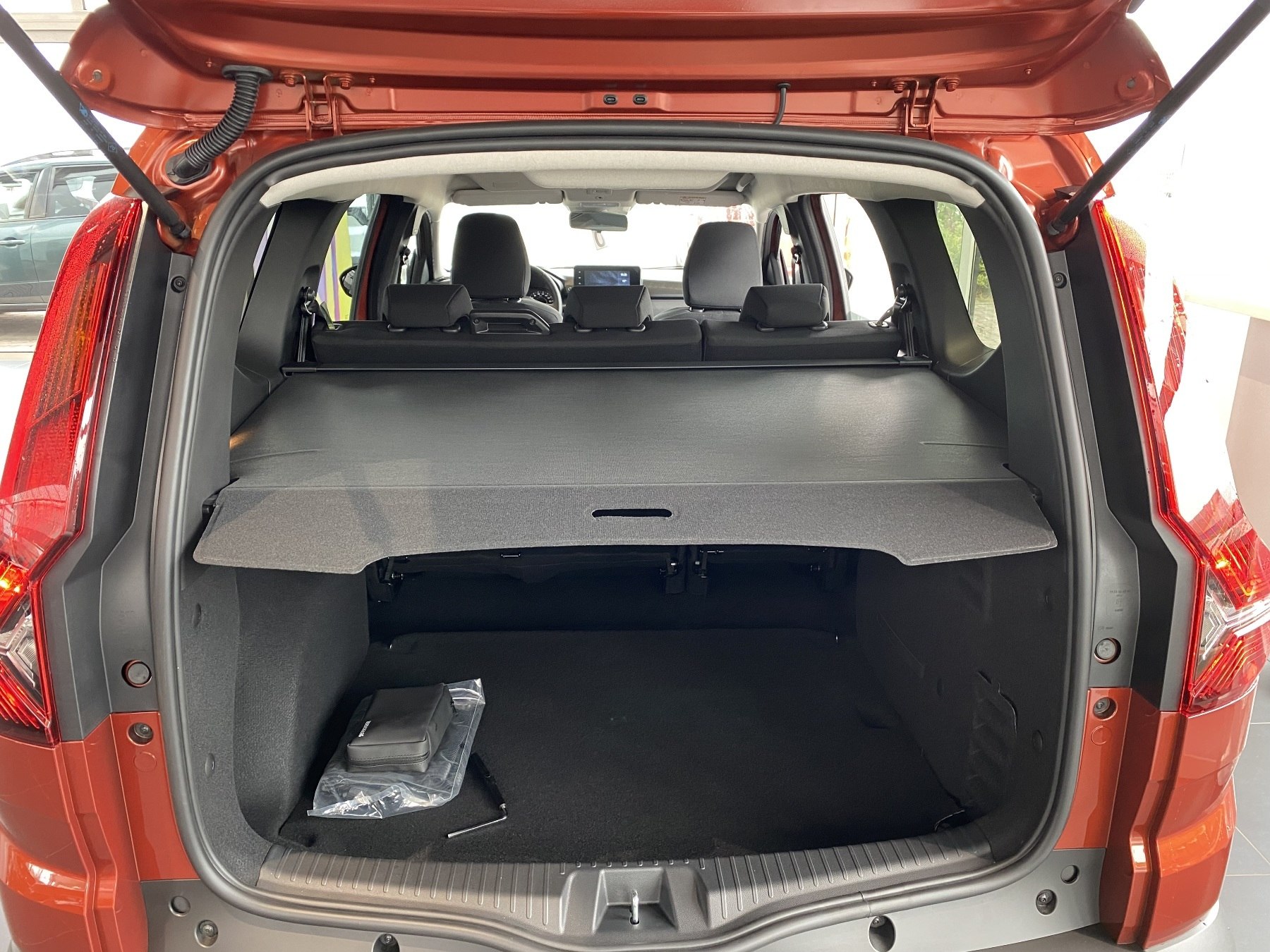Bild 17 - Jogger Extreme TCe 110