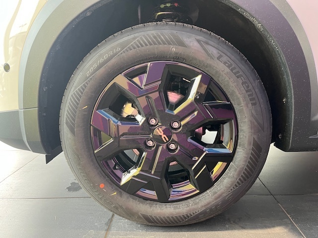 Bild 42 - Sandero Stepway Extreme TCe 110