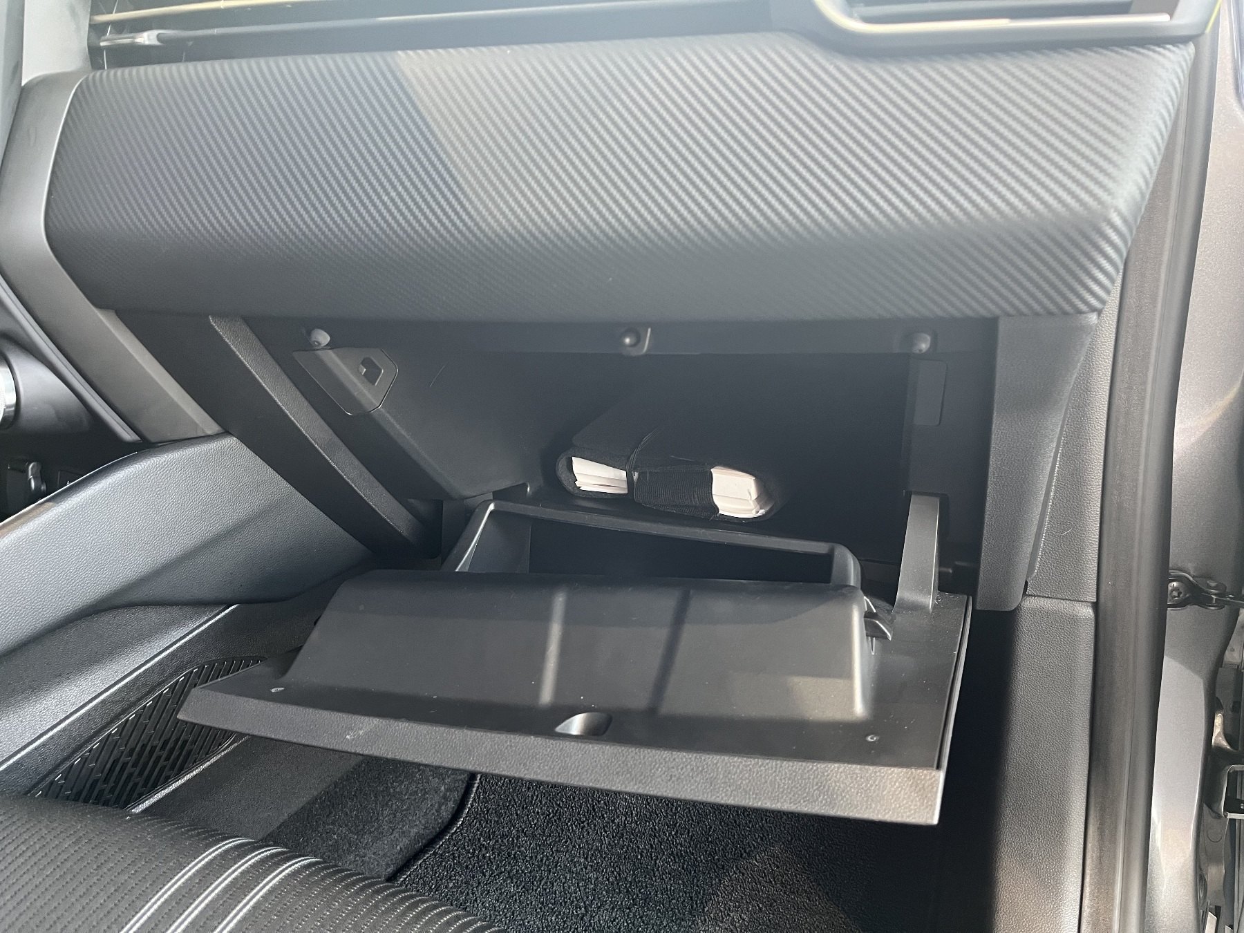 Bild 7 - Clio Sondermodell E-TECH Engineered