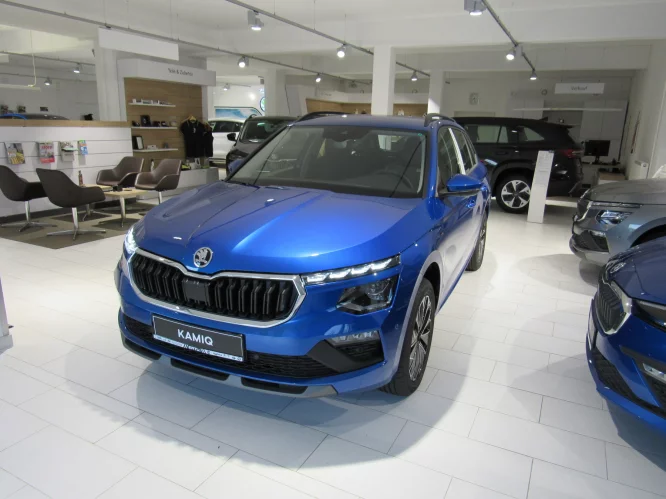 Details zum Fahrzeug: SKODA Kamiq Tour 1.0 TSI