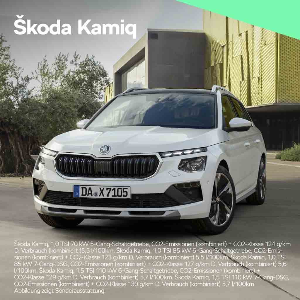 Skoda Kamiq Werbefoto