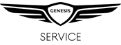 Hyundai Logo