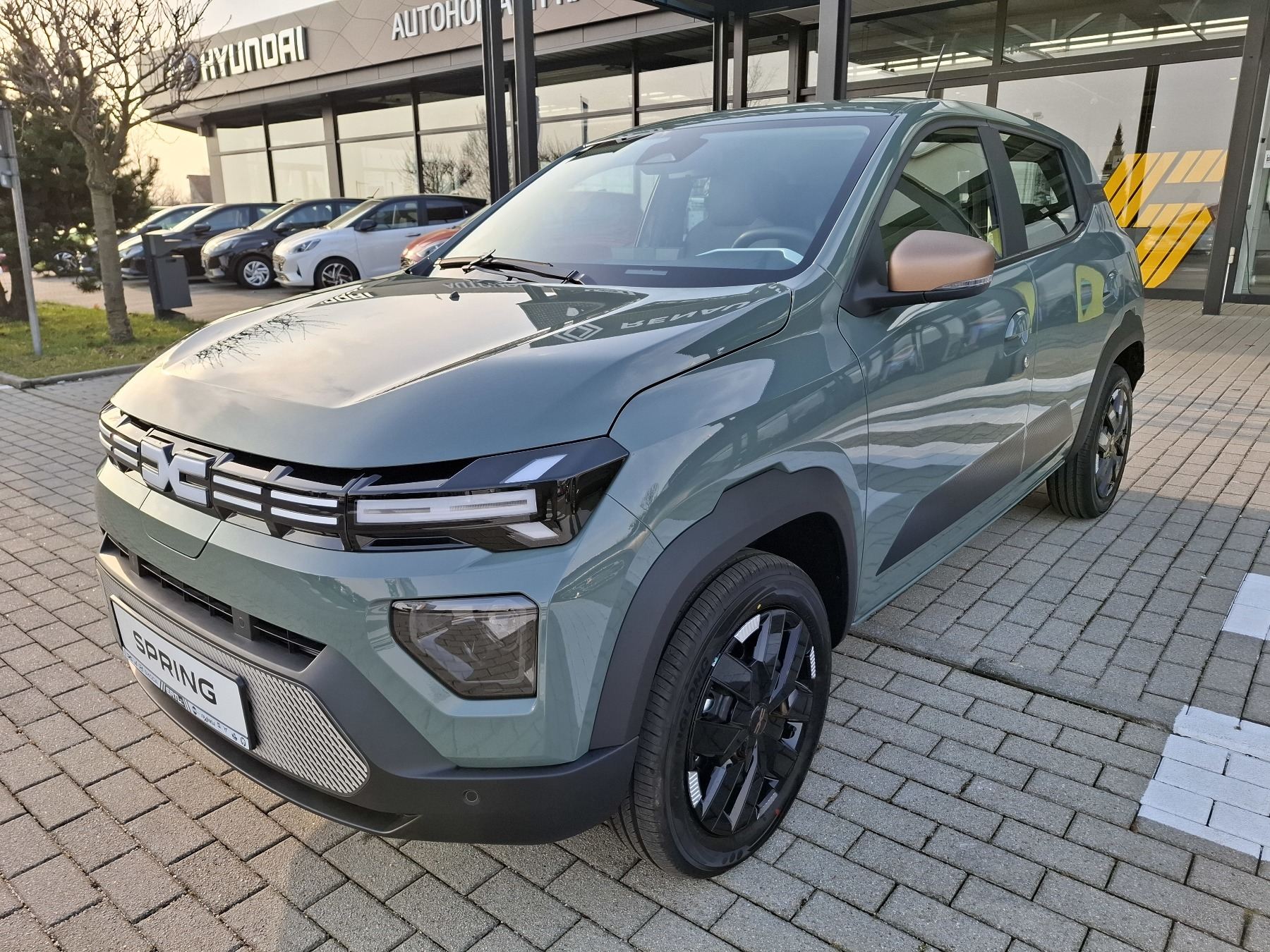 Dacia Spring (ww_43960)