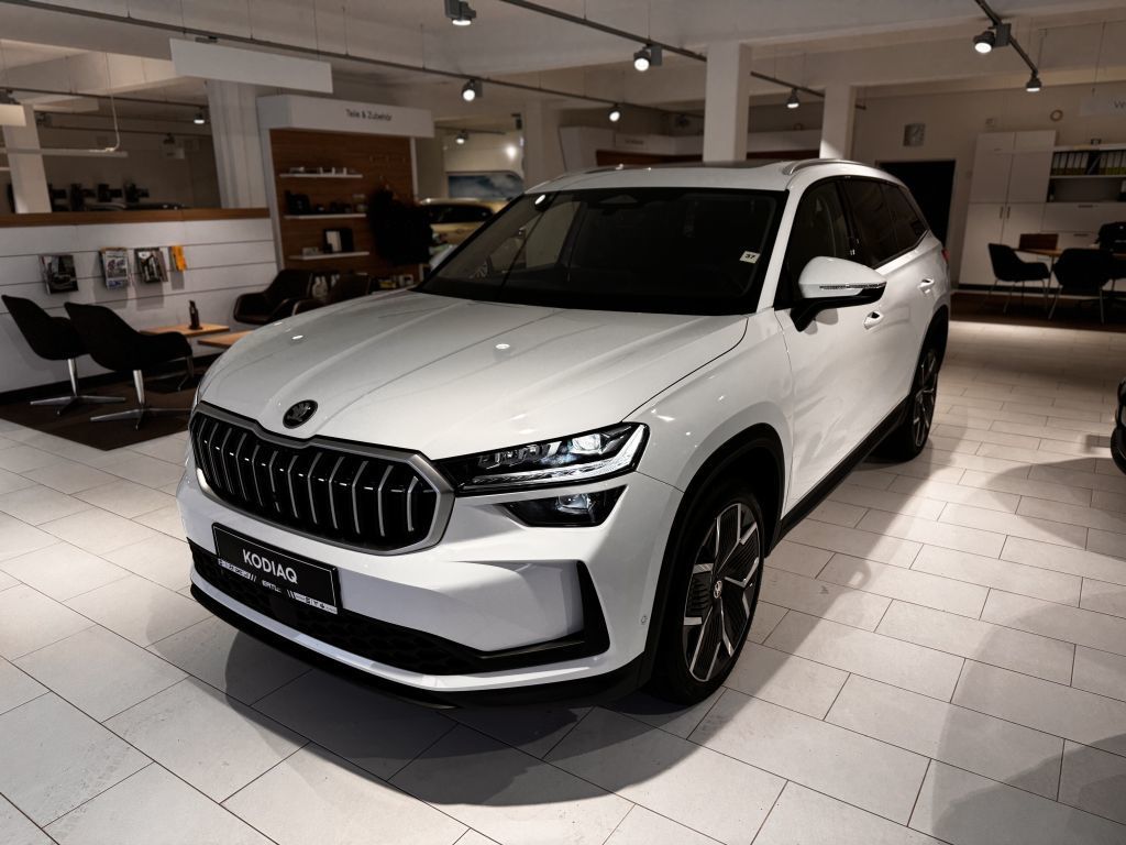 SKODA Kodiaq (ww_36598)