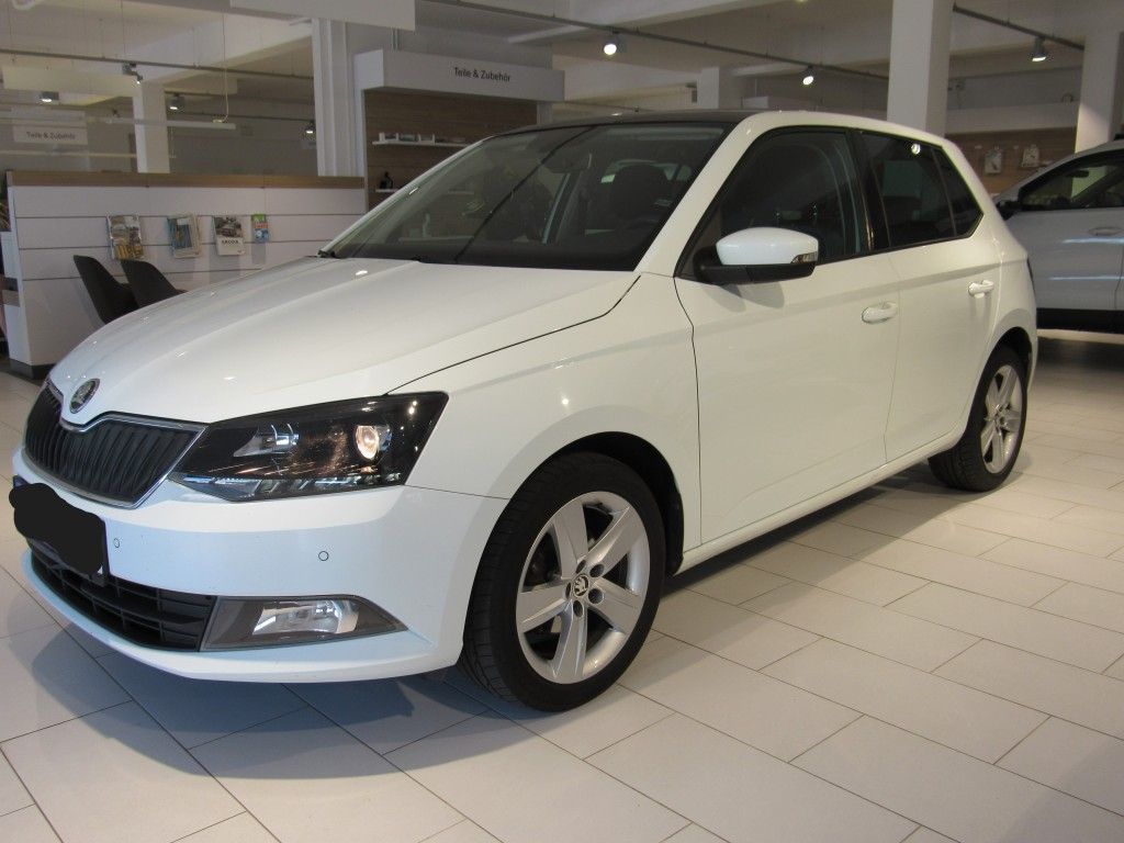 SKODA Fabia (ww_40120)