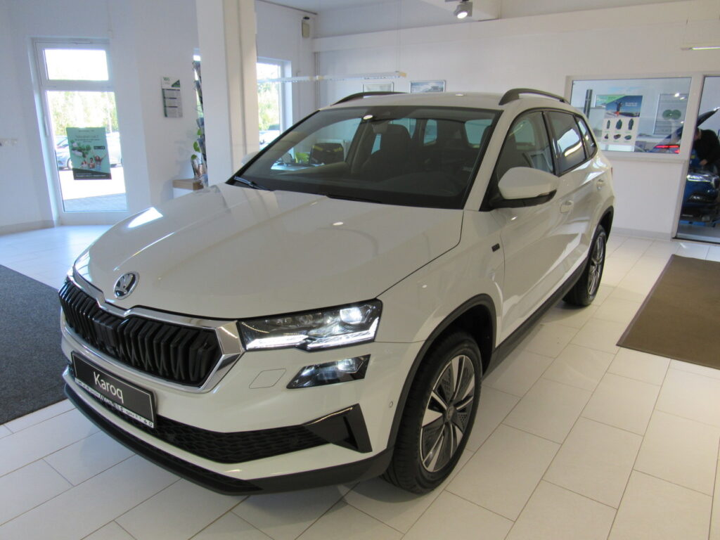 SKODA Karoq Exposé-Bild 1
