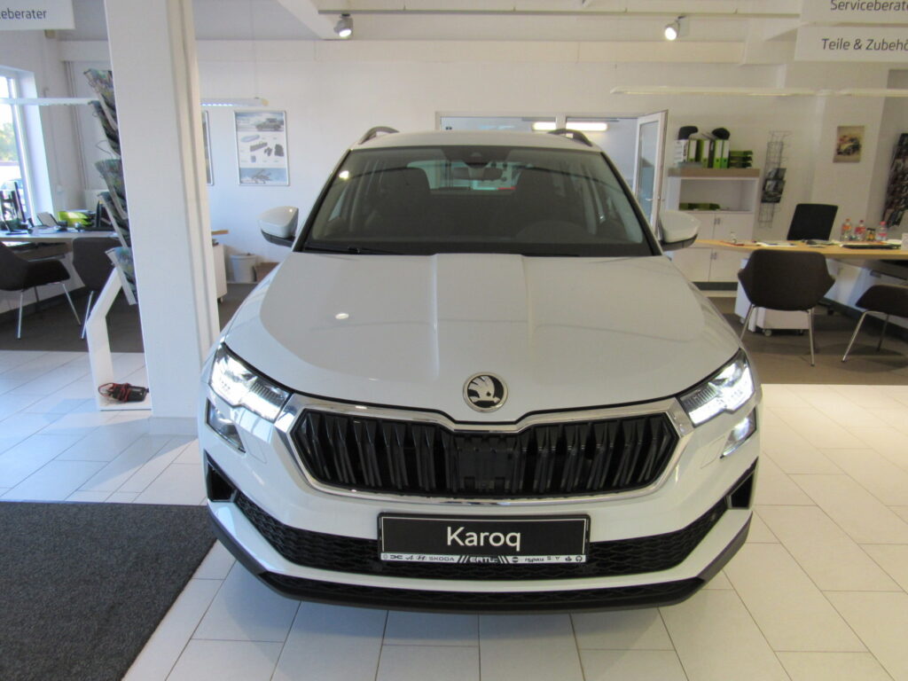 SKODA Karoq Exposé-Bild 2