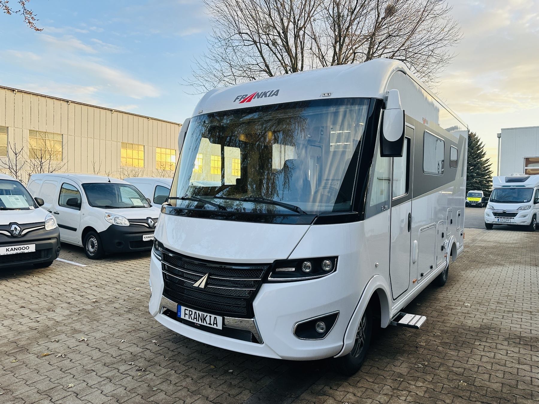 Frankia F-Line (M_EBA100070)