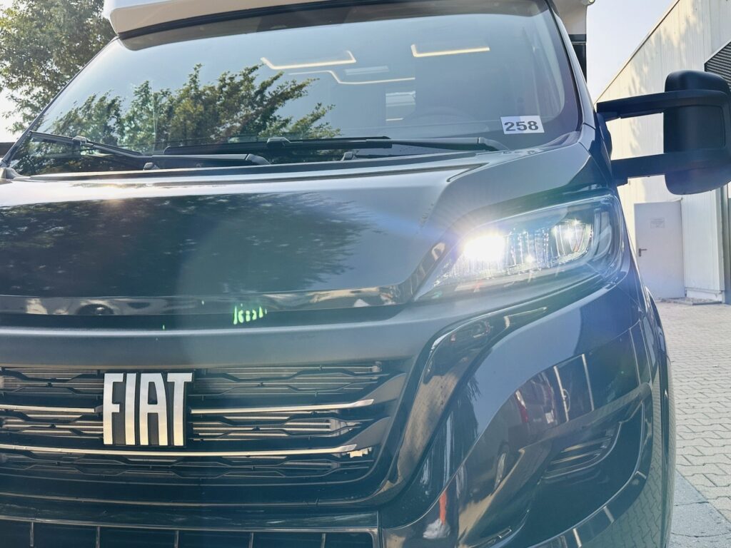 Frankia T Exposé-Bild 9