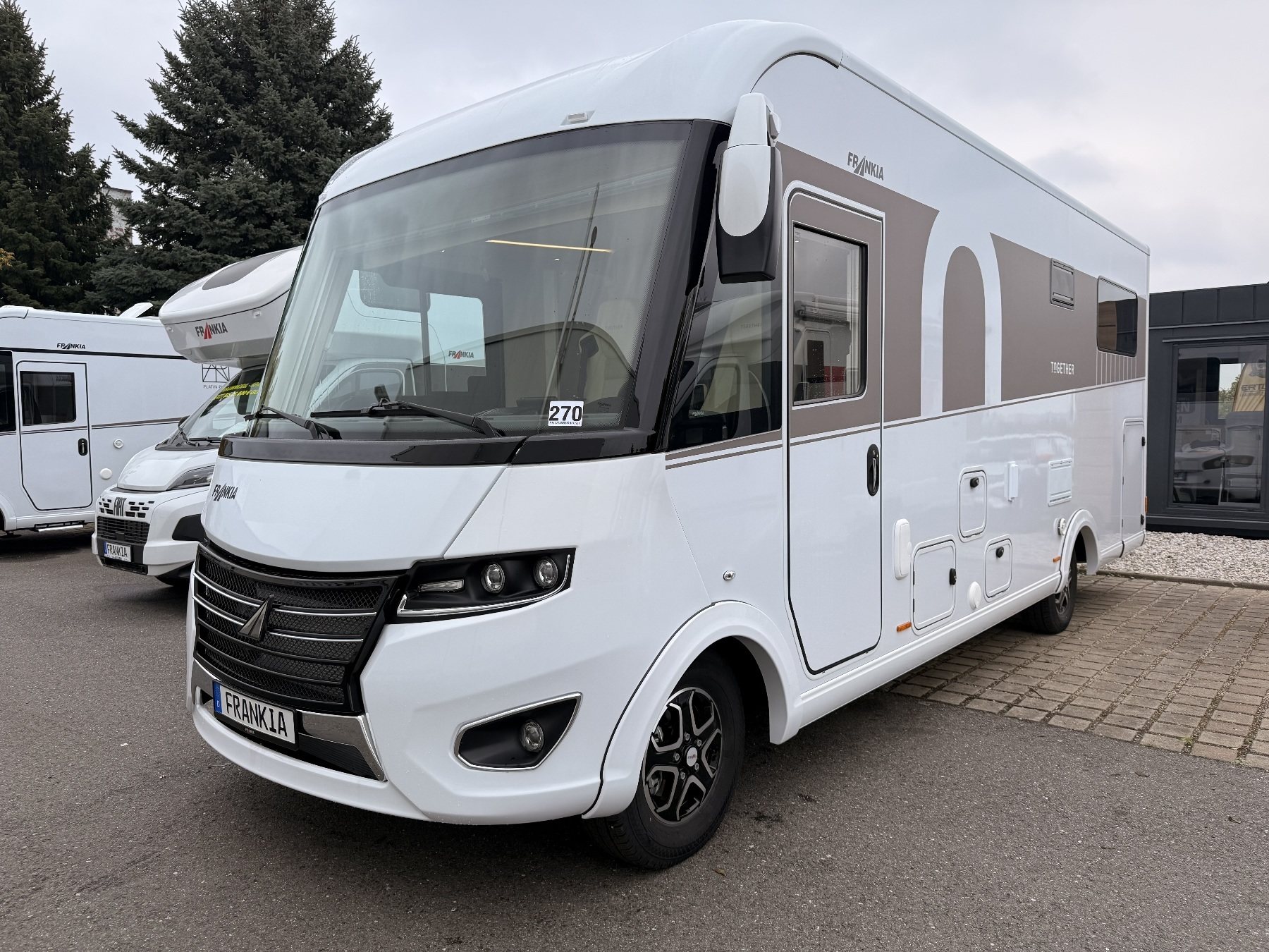 Frankia I (ww_41278)