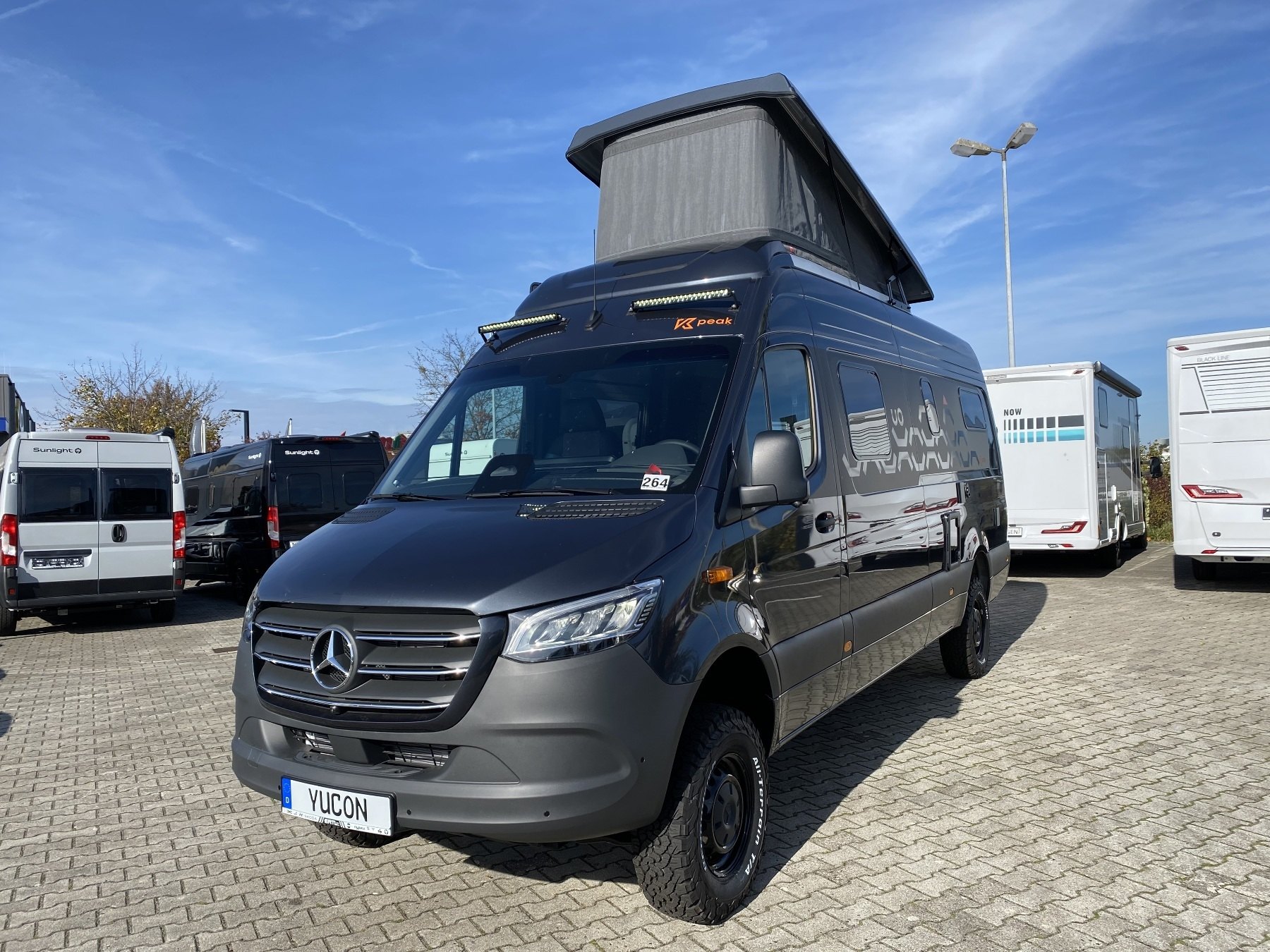 Frankia Yucon (ww_41098)