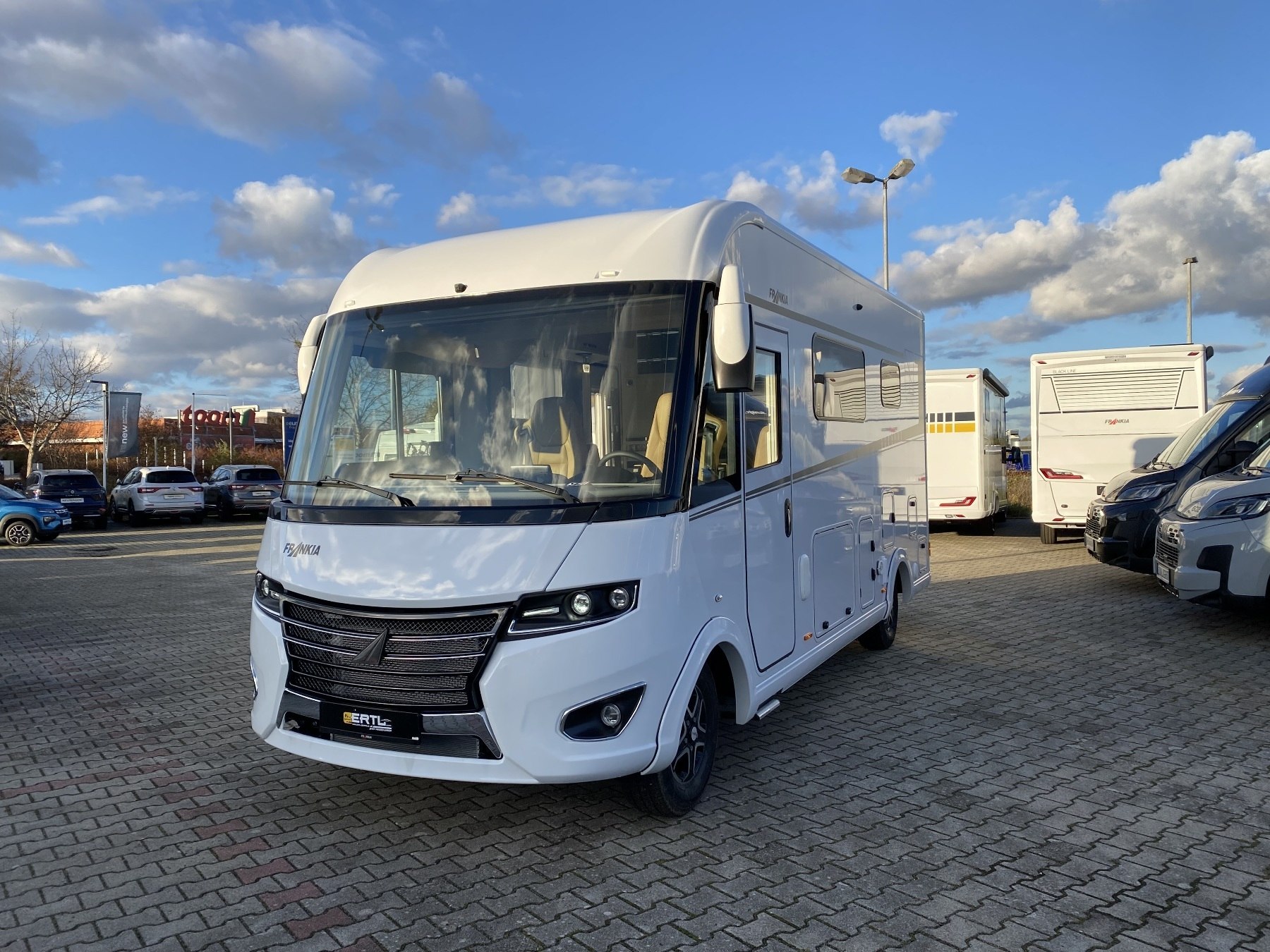 Frankia I (ww_41499)