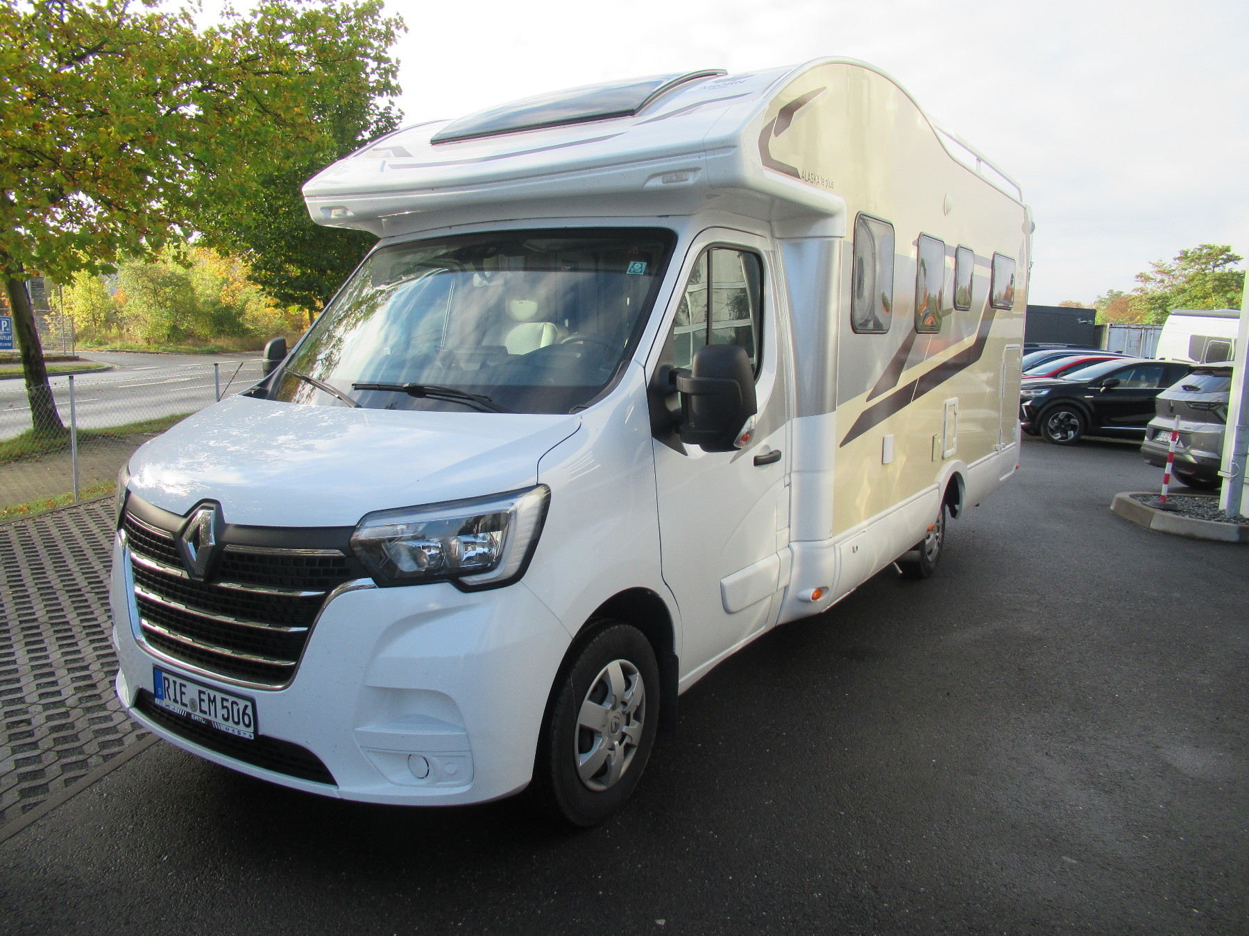 Ahorn Alaska (ww_27718)