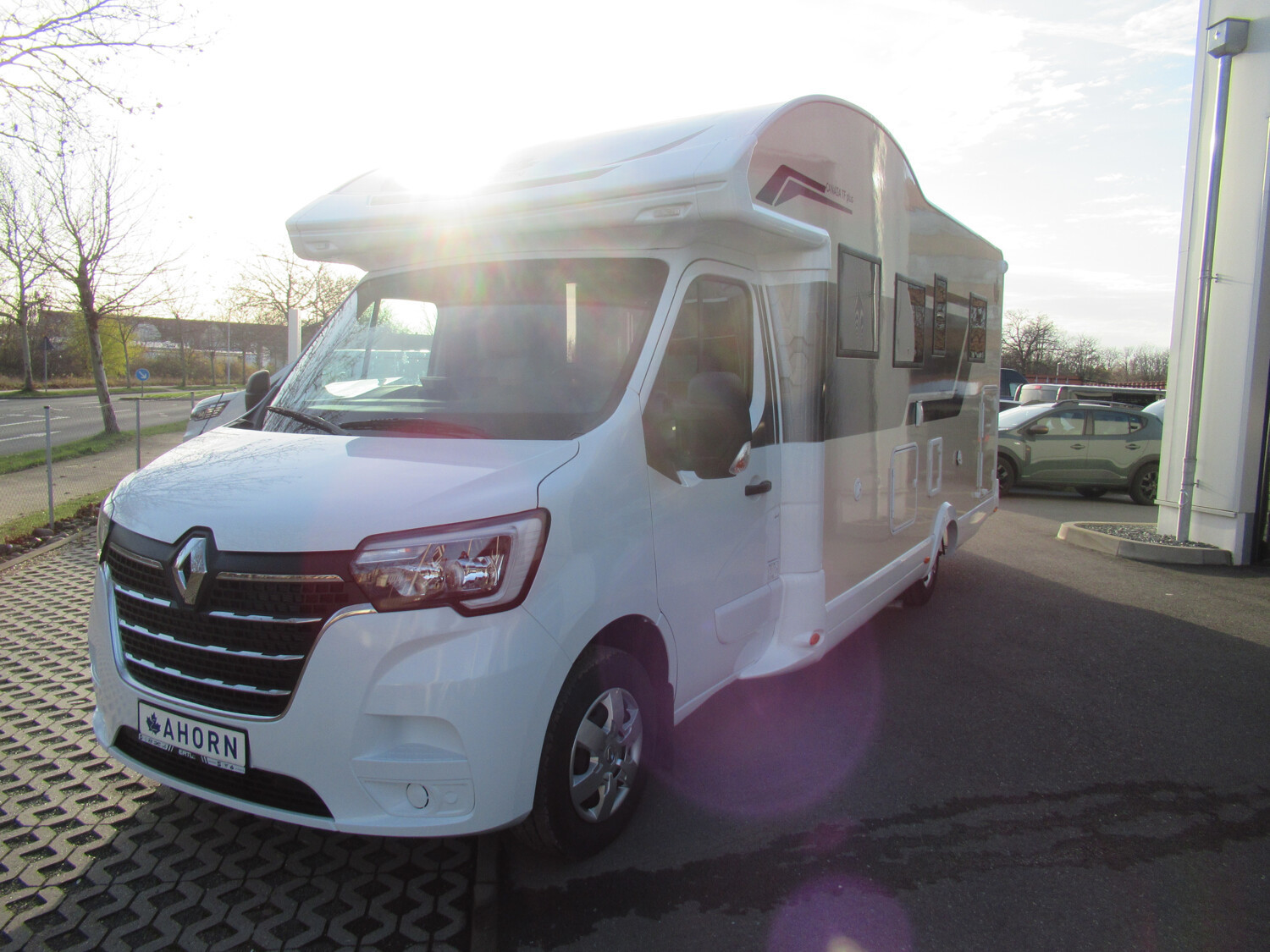 Ahorn Canada (ww_30775)