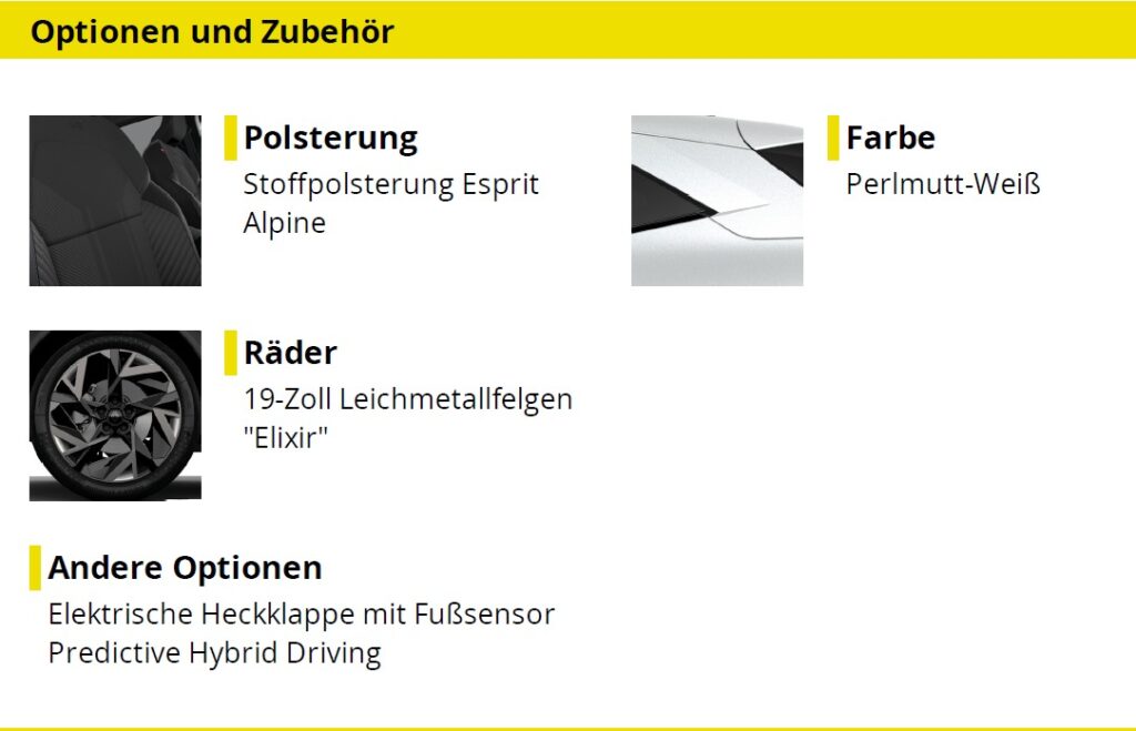 Renault Symbioz Exposé-Bild 4