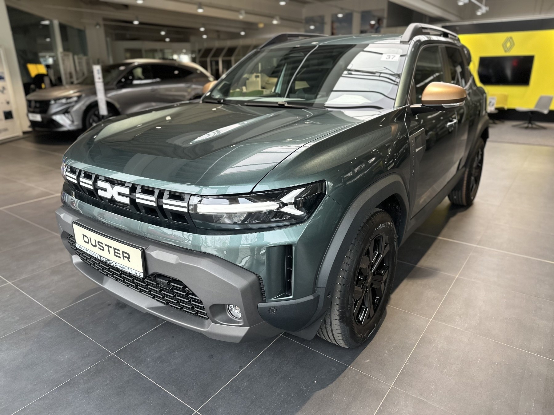 Dacia Duster (ww_41476)